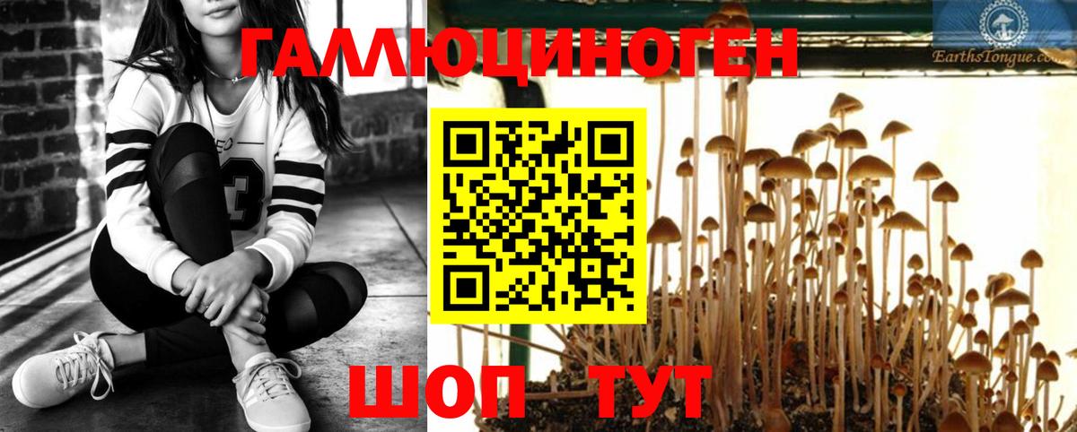 Псилоцибиновые грибы прущие грибы  купить   Кулебаки  Галлюциногенные грибы Magic Shrooms  Вход с VPN 