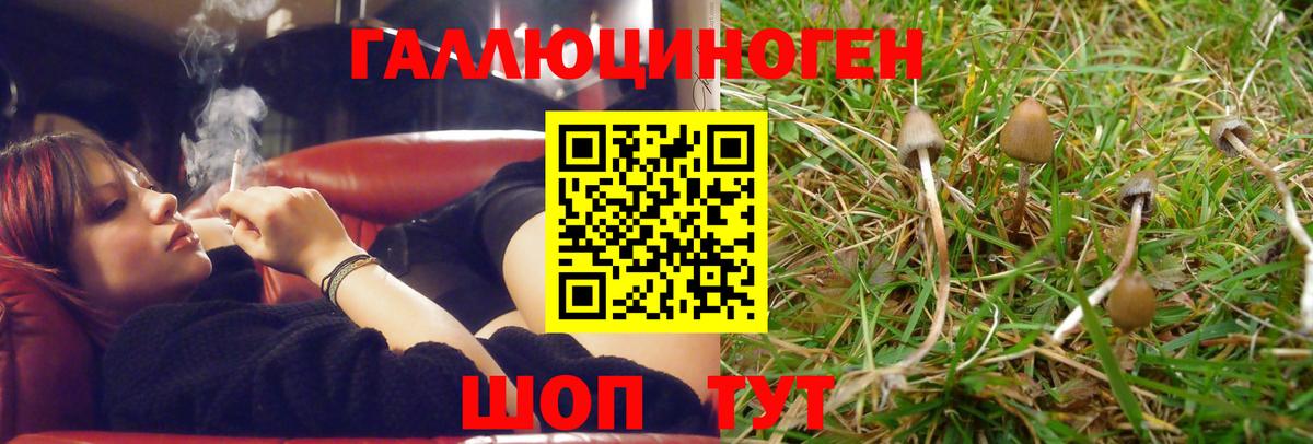 Псилоцибиновые грибы ЛСД Кулебаки